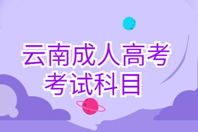云南成人高考考試科目