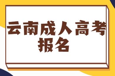 云南成人高考報(bào)名