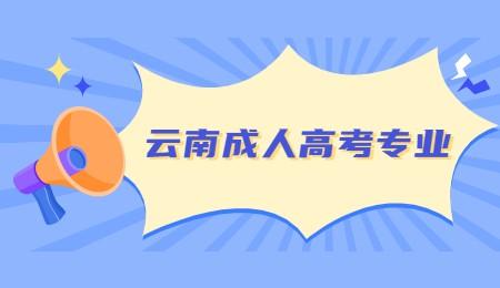 云南成人高考專業