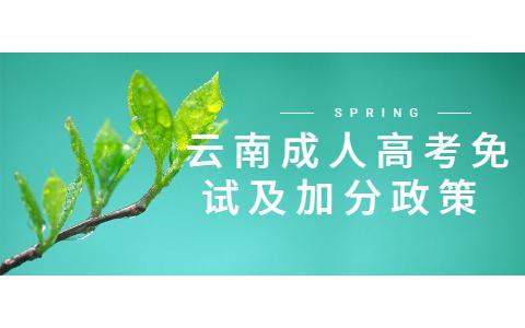 云南成考免試