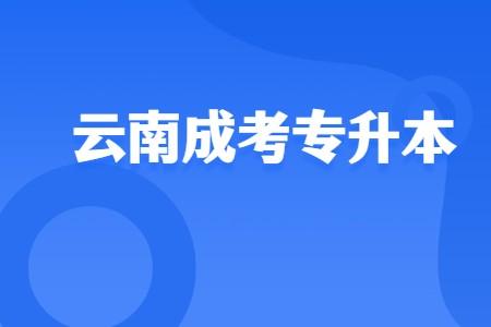 云南成人高考專升本