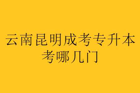 云南昆明成考專升本