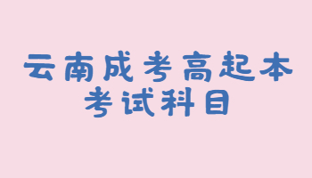 云南成人高考高起本考試科目