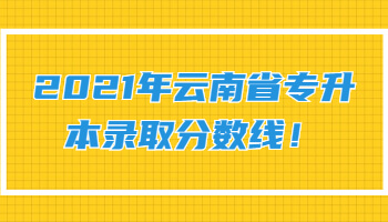 云南省專升本錄取分數線