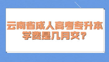 云南省成人高考專升本學費