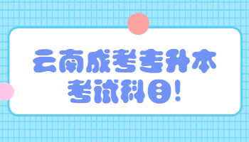 云南成考專升本考試科目
