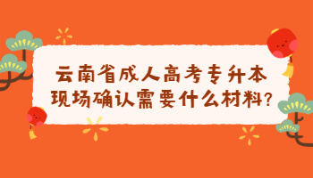 云南省成人高考專升本