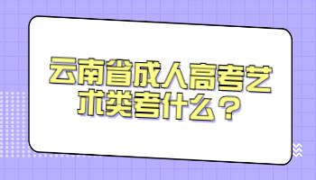 云南省成人高考藝術類考什么