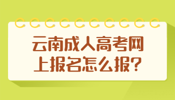 云南成人高考網(wǎng)上報(bào)名