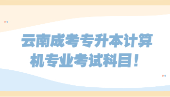 云南成考專升本計算機專業(yè)