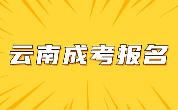 2024年云南成考報名本科條件是什么？