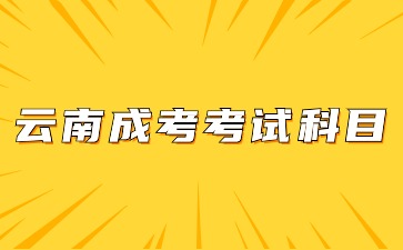 2024年云南成考考試科目有哪些？