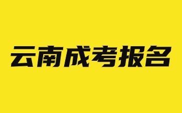 2024年云南成考報名流程解析說明