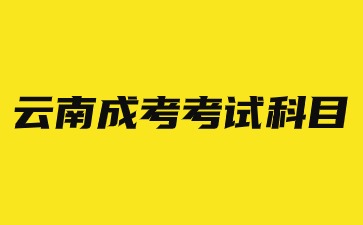 2024年云南省成考考哪些考試科目？