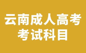 2024年云南成人高考考試一定要考英語科目嗎？