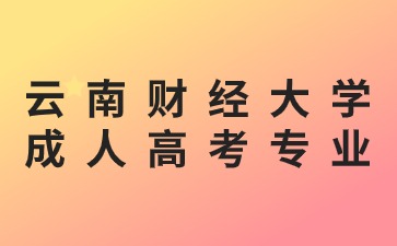 2024年云南財經大學成人高考可以跨專業報名嗎？