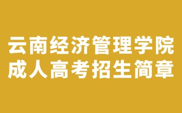 2024年云南經(jīng)濟(jì)管理學(xué)院成人高考招生簡章